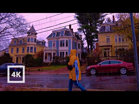 Cozy ASMR Rainy Evening Walk in Cambridge Harvard's Historic Charm Boston | 4K Binaural