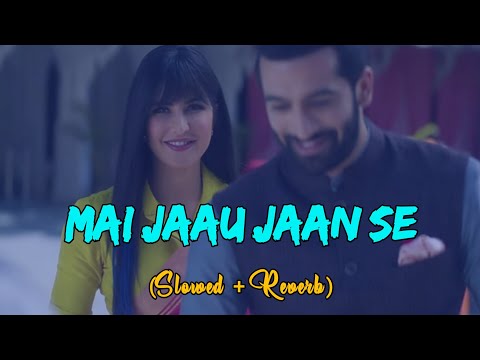 Mai Jaau Jaan Se- [Slowed Reverb] Lofi | Katrina kaif, Armaan R | Phone Bhoot | Lisa M, Kumaar