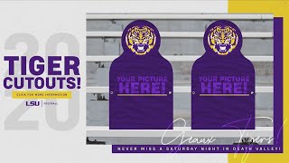 Cheap Seats! Be at the game without being at Tiger Stadium