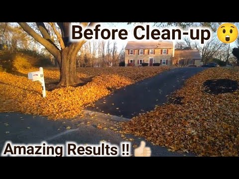 Fall Cleanup & Leaf Removal !!/ Fall Work / Hedge Trimming / Oddly Satisfying / SPECIAL THANKS !!!