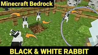 How to get BLACK & WHITE RABBIT in minecraft ?