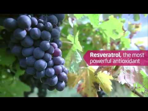 download lagu mp3 mp4 Anti Aging Elixir Drink, download lagu Anti Aging Elixir Drink gratis, unduh video klip Anti Aging Elixir Drink
