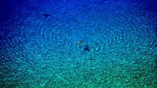 Joy Williams - Sunny Day