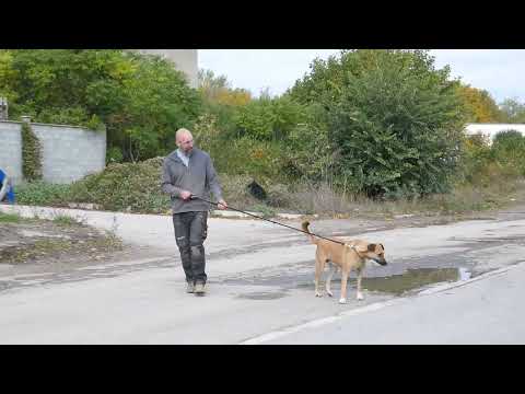 Rabea ist draußen so fröhlich 251012