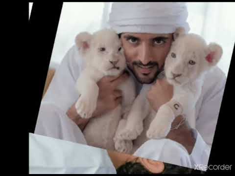 DUBAI CROWN PRINCE SHEIKH AND HIS PETS | DOG LOVERS