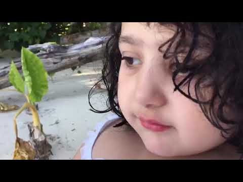 Zermeen zaka in Maldives