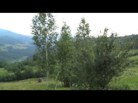 Pe deal la Plăieţu - vedere spre Măneciu-Ungureni si Clăbucetul Măneciului