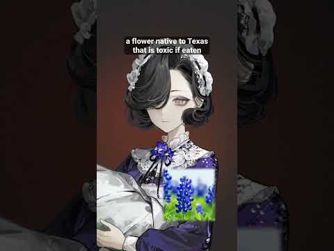 Quick Design Review: Tuesday