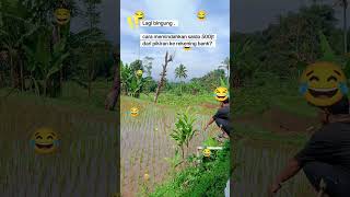 Download lagu ## kata kata lucu mp3