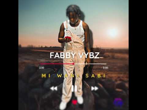 Fabby vybz - MI WANI SABI