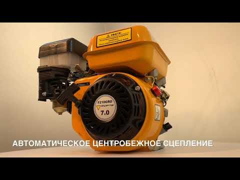 ДВИГАТЕЛЬ FORTE F210GRO