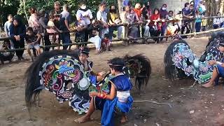 Download lagu Keren ini penari jaranan anak² @Jathilan Mardi Raharjo, Rabu 17-08-2022 mp3 Download lagu Keren ini penari jaranan anak² @Jathilan Mardi Raharjo, Rabu 17-08-2022 mp3