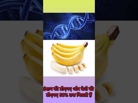 इंटरेस्टिंग 5 इंपॉर्टेंट फैक्ट्स #oursfactsstar #allfactsknowledge #knowledge #fact #factstar #a2