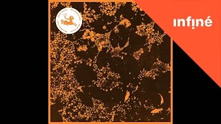 Downliners Sekt - This American Life