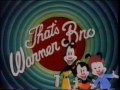That S Warner Bros Cartoon Looney Tunes Toons Commercial 1996