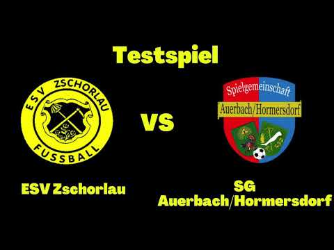 Testspiel gegen SG Auerbach/Hormersdorf