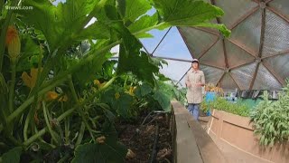 Leadville nonprofit grows food above 10,000 feet
