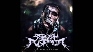 Did You Mean Australia? -  Constrictor (New October 2014)