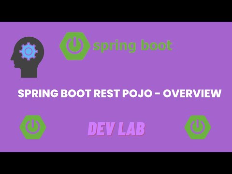 Spring Boot Rest Pojo   Overview