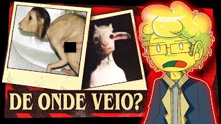 WHERE DID THESE PHOTOS COME FROM?