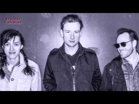 800beloved | Cut Flowers