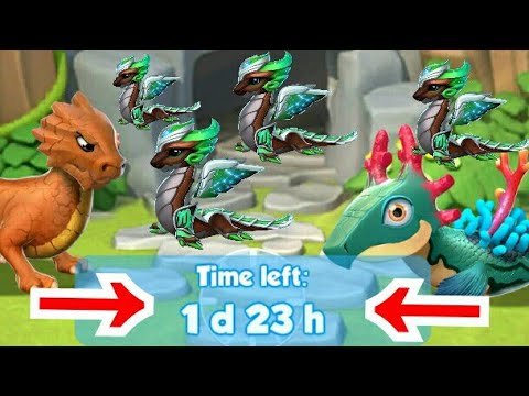 VIRGO dragon breedimg succession | Dml