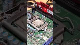 using Shampoo instead of thermal paste! #shorts