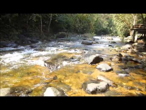 Vicboy & Rexy Moo in Thailand 2014