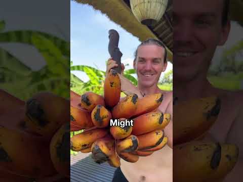 Without Seed How Banana Grow 😨