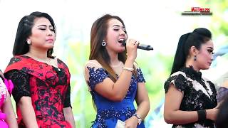 Download lagu DANGDUT NEW PALLAPA November 2018 TERBARU iRoke mp3