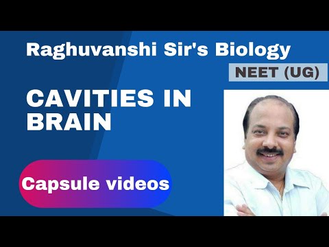 Raghuvanshi Institute Lucknow Video 4