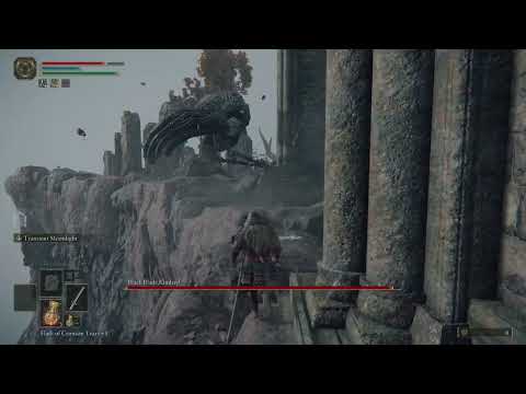 Elden Ring - Black Blade Kindred Cheese - Low Level