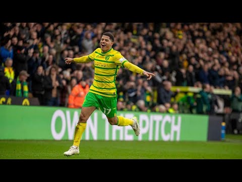 Every Norwich City Goal - Gabriel Sara
