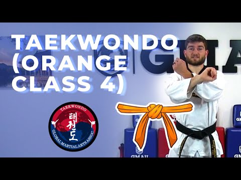 Taekwondo - Orange Belt - Class 4 thumbnail