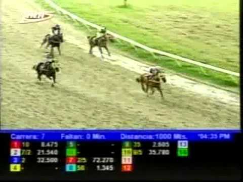 Resumen Viernes, 19 de Septiembre de 2014 - Valencia