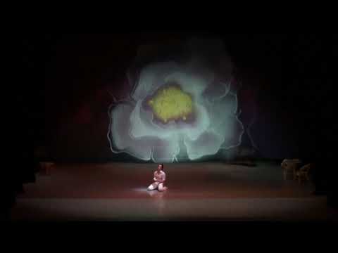 LA DAME AUX CAMELIAS music by Guiseppe Verdi/Sergey Onsoff - Sofia Opera and Ballet