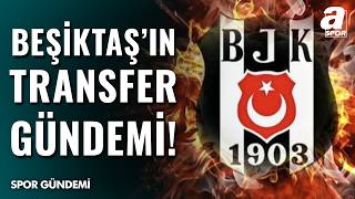 Vincenzo Italiano, Vlahovic ve Beşiktaş Transferi