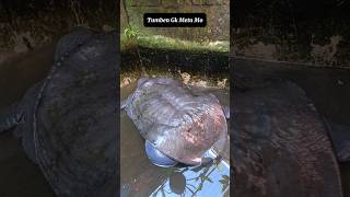 Download lagu Sometimes it doesn't come out Mo mp3