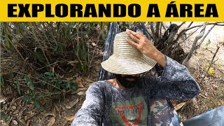 UM ROLÊ NO MATO Ep 196