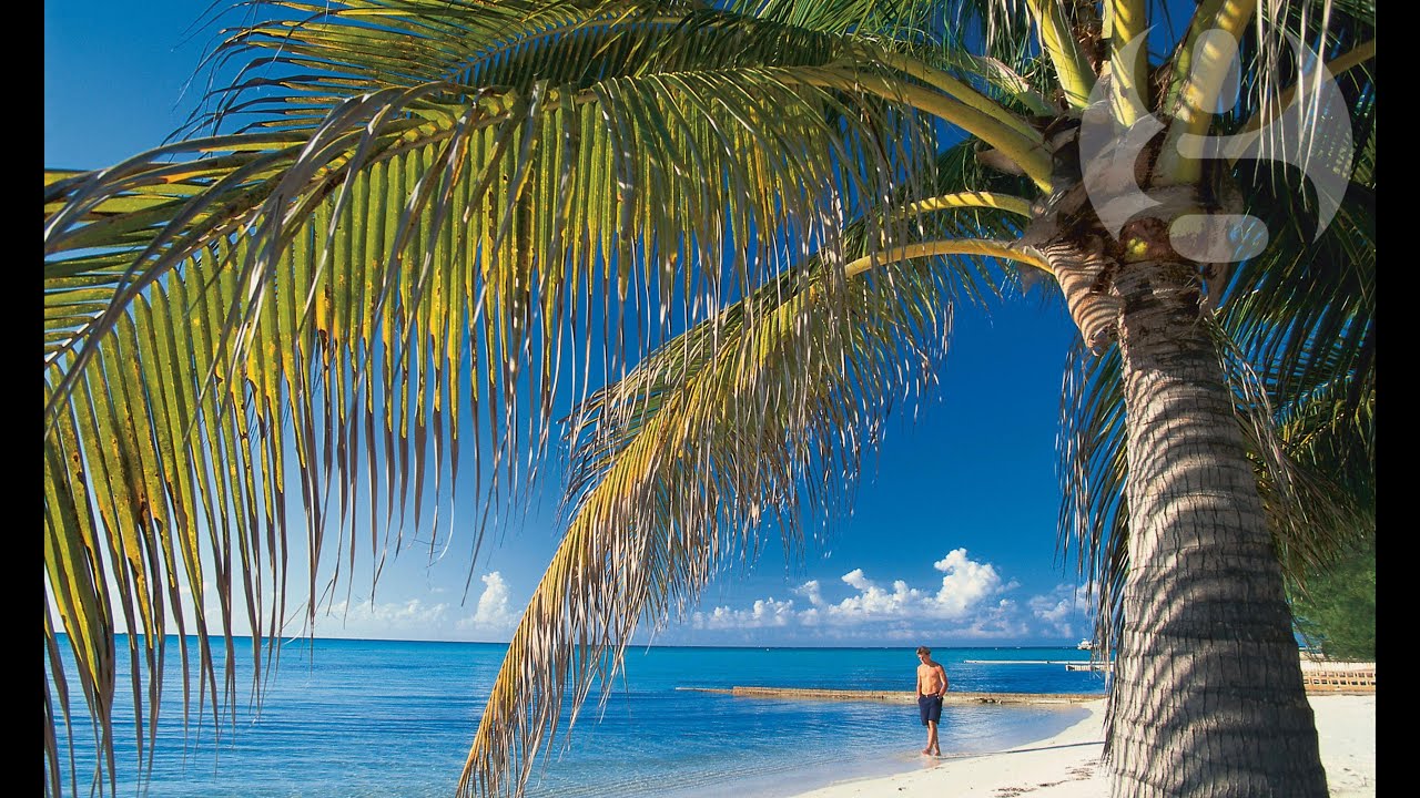 The top 10 most secretive tax havens | Guardian Explainers