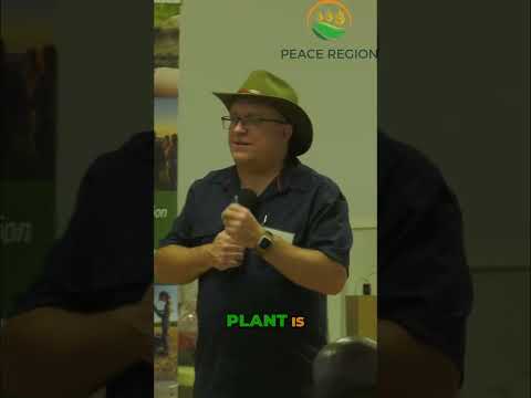 Boost Soil Health: Less Tillage, More Living Roots!