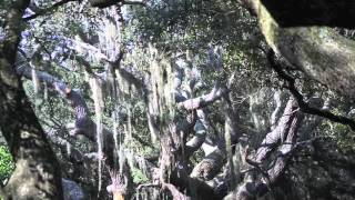 preview picture of video 'Backpacking Cumberland Island September 4, 2010'