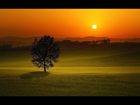 download lagu mp3 mp4 Monday Evenings, download mp3 Monday Evenings free download mp3, download mp3 Monday Evenings