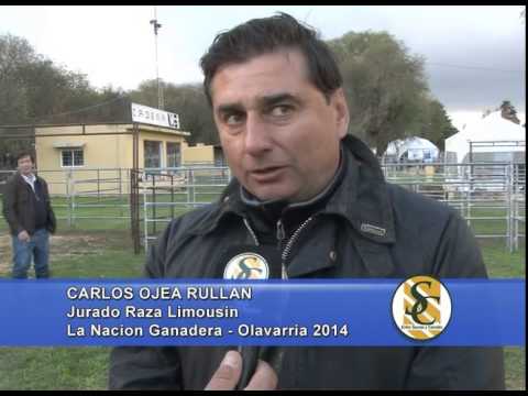 CARLOS OJEA RULLAN - Jurado Raza Limousin - La Nacion Ganadera 2014