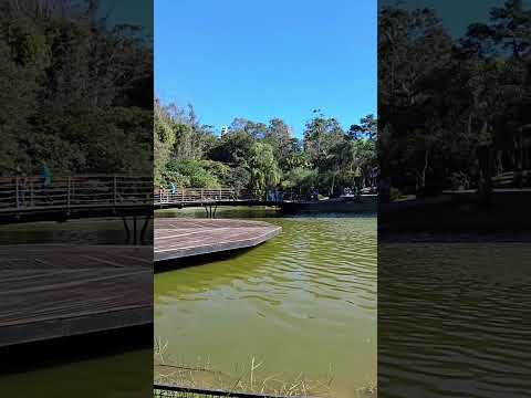 Parque Celso Daniel em Santo Andre #shorts #passeio #natureza #santoandre