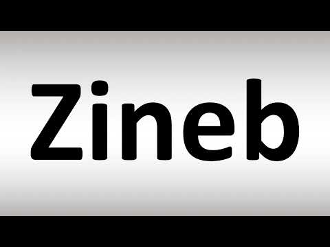 How to Pronounce Zineb