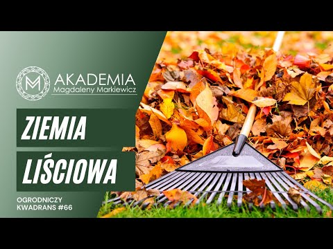 Ogrodniczy Kwadrans #66. Ziemia liściowa