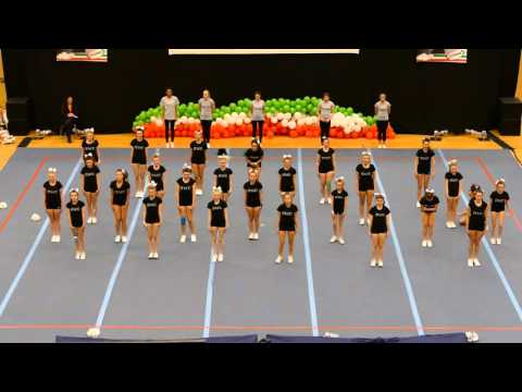 Bielefeld Wildcats Shooting Cats CLM NRW 2016