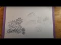 How to Draw Coral