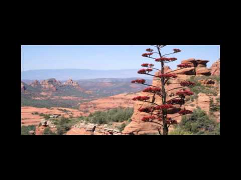 Mike Turany - Daniel 10:1-11